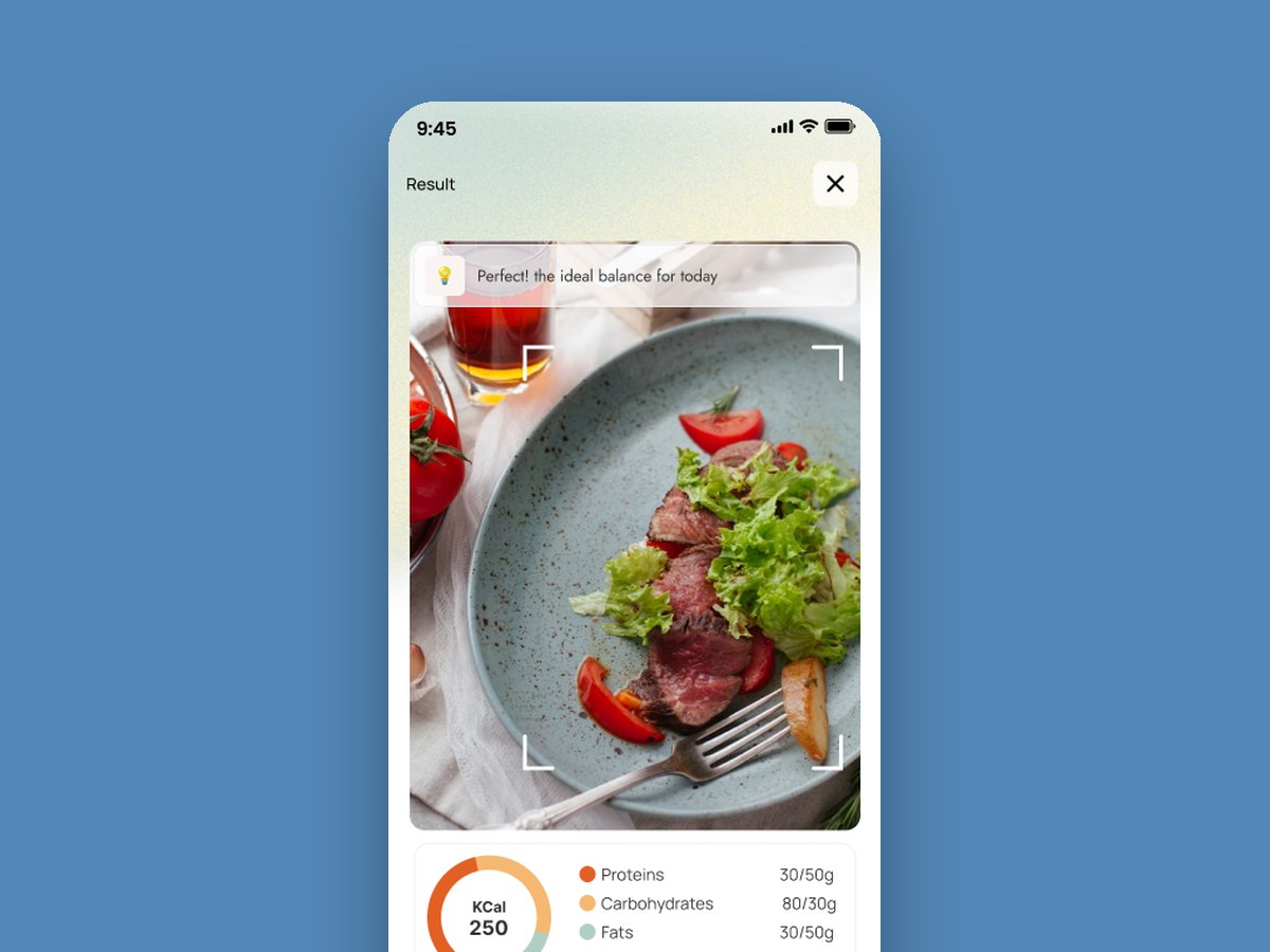 The scanner reading a plate of steak and salad
